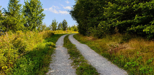 Road amidst plants and trees against sky