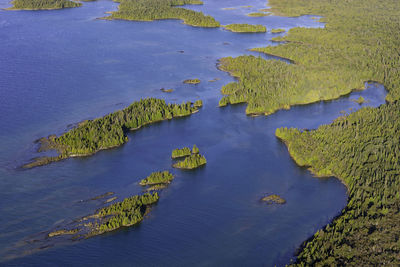 High angle view of leaf in lake