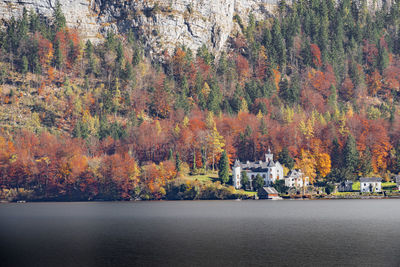 Trees by lake during autumn