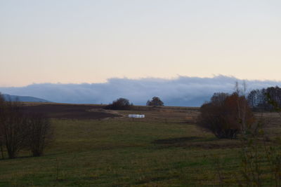 Scenic view of field against sky during sunset