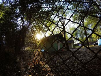 Sun shining through chainlink fence