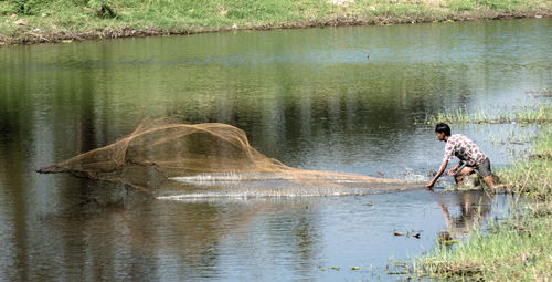 Dog swimming in lake