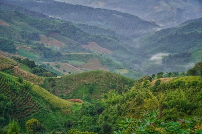 Scenic view of mountains