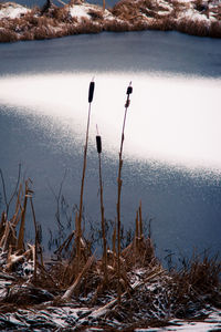 Scenic view of calm lake