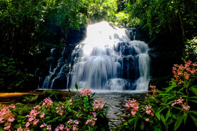 Waterfall in forest