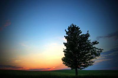 Silhouette of trees on field against sky at sunset