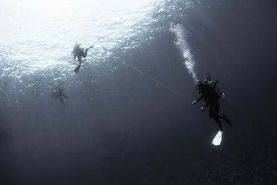 People scuba diving in sea