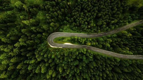 High angle view of road amidst trees in forest