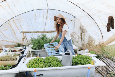 Farmer with crate working in vegetable greenhouse