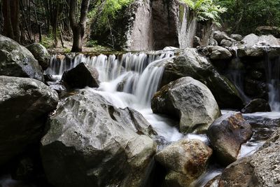 Scenic view of waterfall