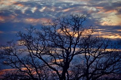 Silhouette bare tree against sky during sunset