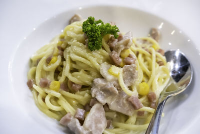 Close-up of meal served in plate