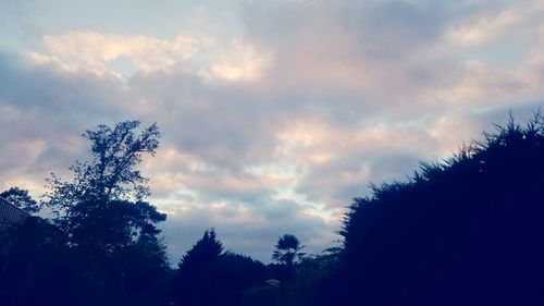 Silhouette of trees against cloudy sky