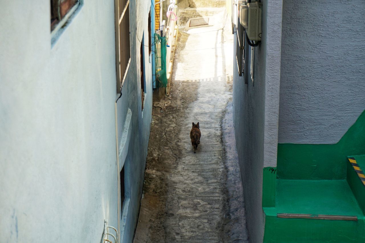 REAR VIEW OF MAN WALKING ON NARROW ALLEY AMIDST BUILDINGS