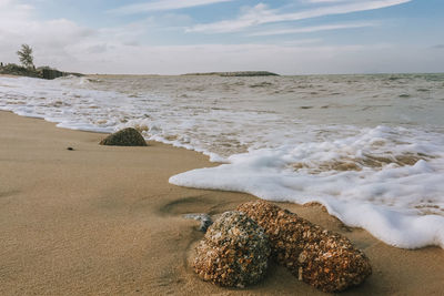 Scenic view of beach against sky