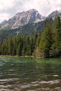 String lake in grand tetons national park, wyoming