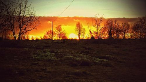 Silhouette trees in forest against sky at sunset