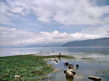 Scenic view of sea against cloudy sky