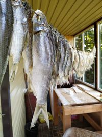 Close-up of fish hanging on table