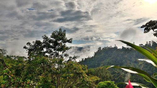 Scenic view of landscape against cloudy sky