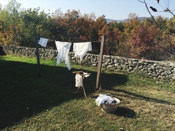 Clothes drying on a field