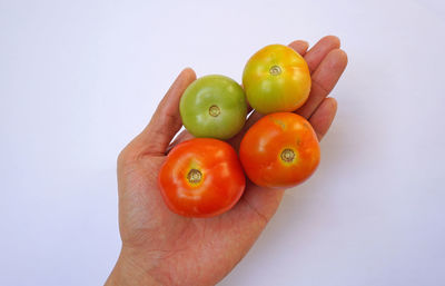 Close-up of hand holding fruits against white background