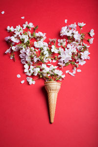 High angle view of flowering plant in vase on red table
