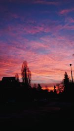 Silhouette of trees at sunset