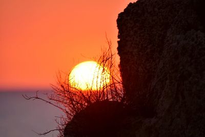 Silhouette tree against sky during sunset