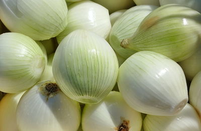 Full frame shot of onions