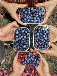 Midsection of person holding blueberries