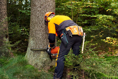 Professional lumberjack with protective workwear and chainsaw working in a forest