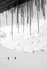 Panoramic view of people on snow covered land