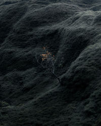 High angle view of crab on rock in sea