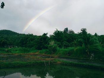 Scenic view of rainbow over trees during rainy season