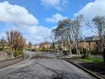 Road amidst trees against sky