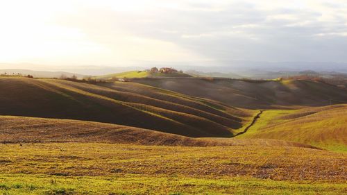 Scenic view of agricultural field against sky