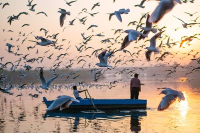 Seagulls flying over sea against sky
