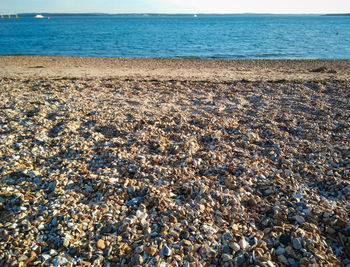 Surface level of pebble beach