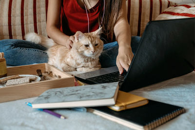 Home office, work space, work from home concept. young woman with laptop and cat working at sofa. 