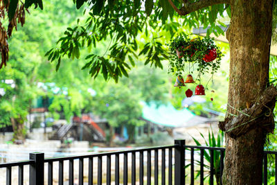 Red berries on railing against trees