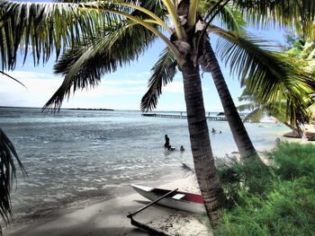 Palm trees on beach