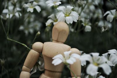 Close-up of white flowers