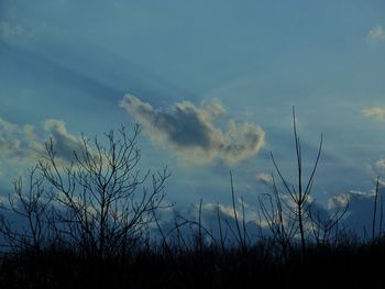 Low angle view of silhouette trees against sky