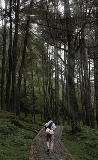 Rear view of woman walking on footpath amidst trees in forest