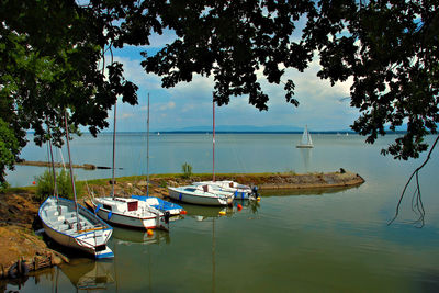 Boats moored on sea against clear sky