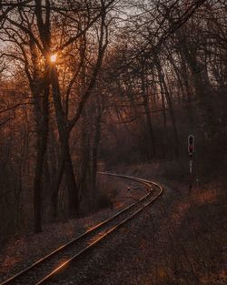 People walking on road