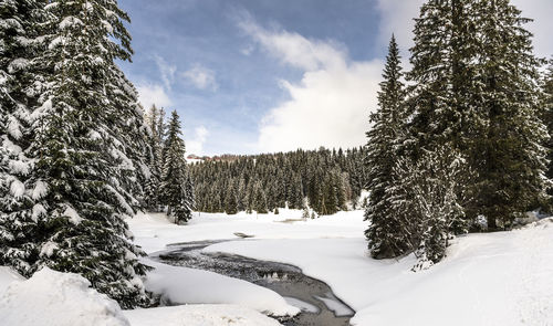 Scenic view of snow covered landscape