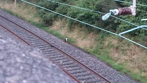 High angle view of railroad tracks