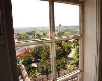 Trees and buildings seen through window